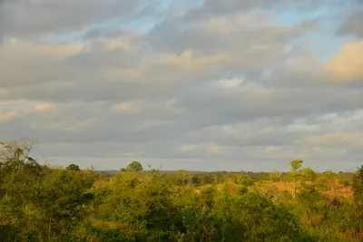 DSC_4332 (Large).JPG